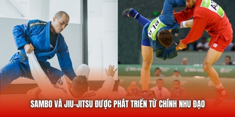 Sambo và Jiu-jitsu được phát triển từ chính Nhu đạo