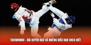Taekwondo - Đài Quyền Đạo Và Những Điều Bạn Chưa Biết