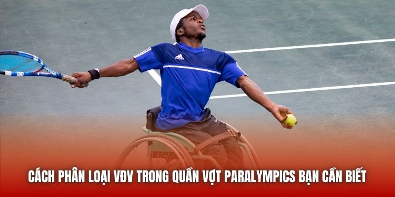 Cách phân loại VĐV trong quần vợt Paralympics bạn cần biết 